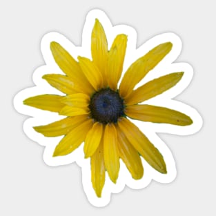 Yellow Daisy Sticker